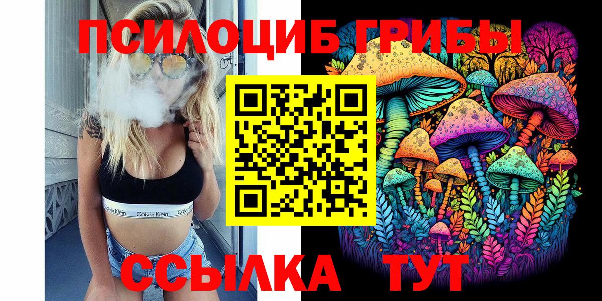 Галлюциногенные грибы Psilocybine cubensis Азов